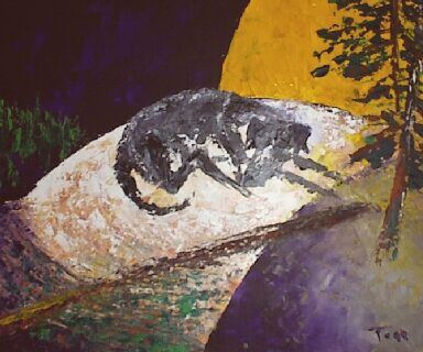 Sleeping Wolf by Tom Lacey